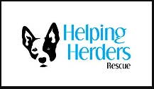 Helping Herders Cattle Dog Rescue - Dog Adoption - Adopt Don't Shop