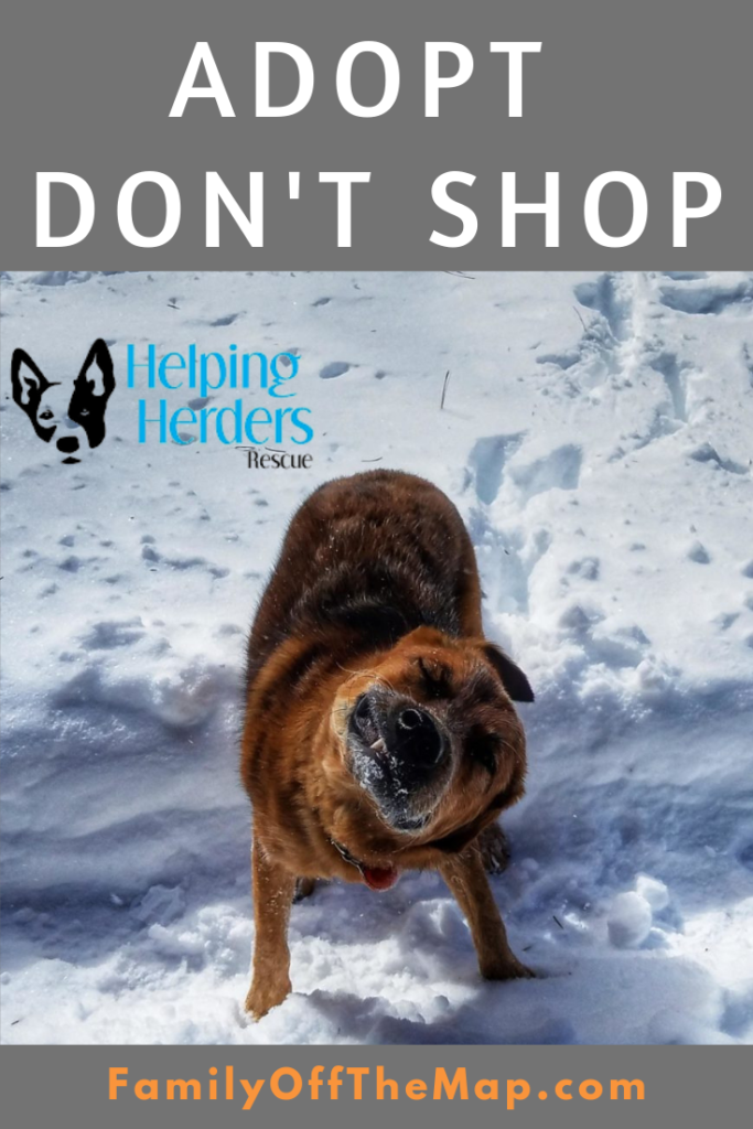Helping Herders Dog Rescue Logo